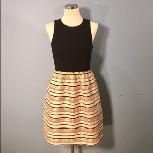 NWOT J Crew cupcake dress